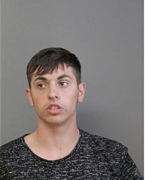 ANTHONY P CANTORE, Cook County, Illinois