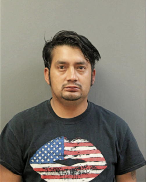LUIS IVAN CASTRO CHAVEZ, Cook County, Illinois