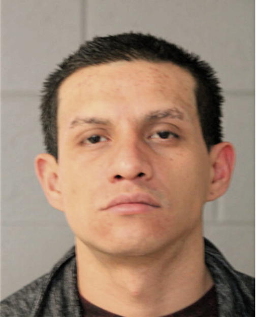 CARLOS ERNESTO CERRITOS CASTILLO, Cook County, Illinois