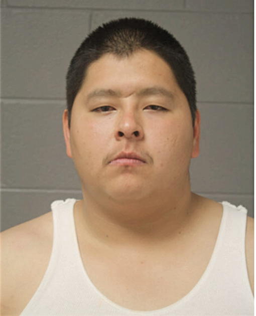 VICTOR H CRUZ, Cook County, Illinois