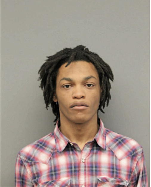 DAVID P FRYE, Cook County, Illinois