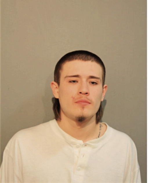 ANTHONY C GUZMAN, Cook County, Illinois