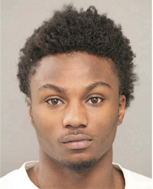 CHRISTOPHER N HARRELL, Cook County, Illinois
