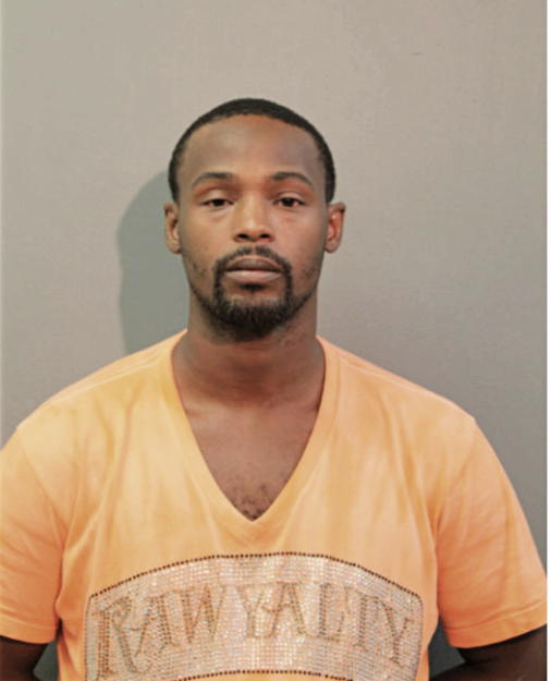 STEPHEN P HOLMAN, Cook County, Illinois