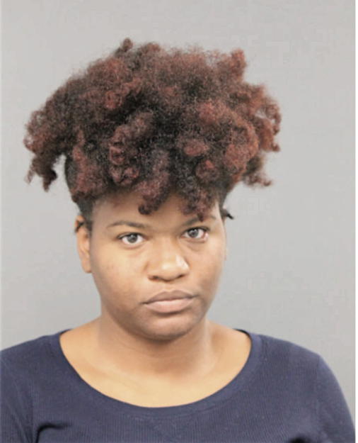 ADRINA M JOHNSON, Cook County, Illinois