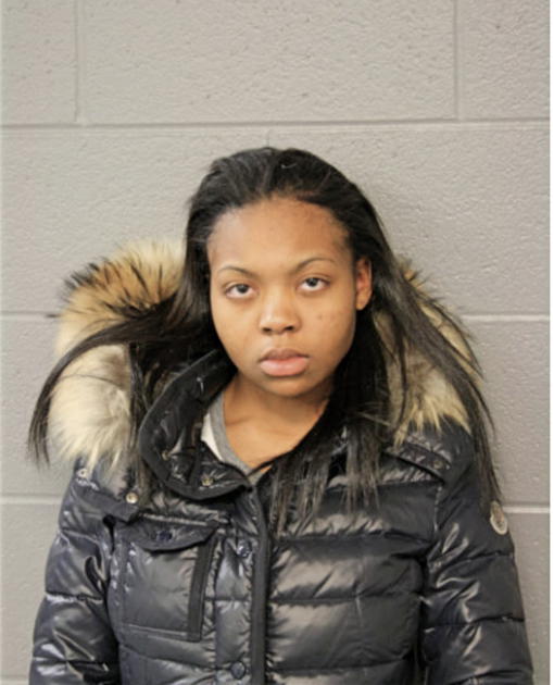 JHANE E JOHNSON, Cook County, Illinois