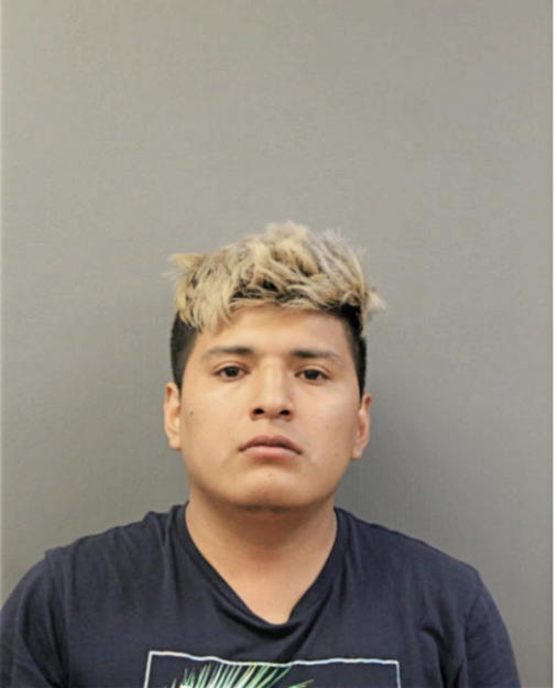 STEVE J LLAPA-FAJARDO, Cook County, Illinois