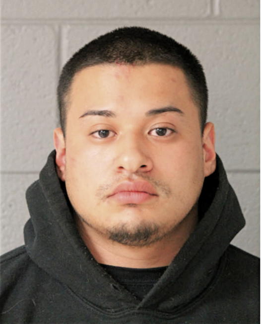 ERNEST H MARTINEZ, Cook County, Illinois
