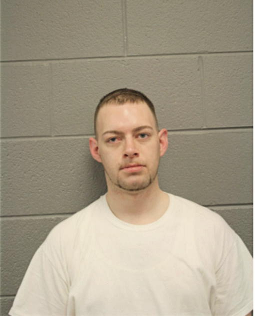 RYAN T MCNEELA, Cook County, Illinois