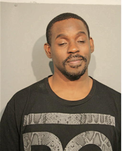 CHRISTOPHER C NELSON, Cook County, Illinois