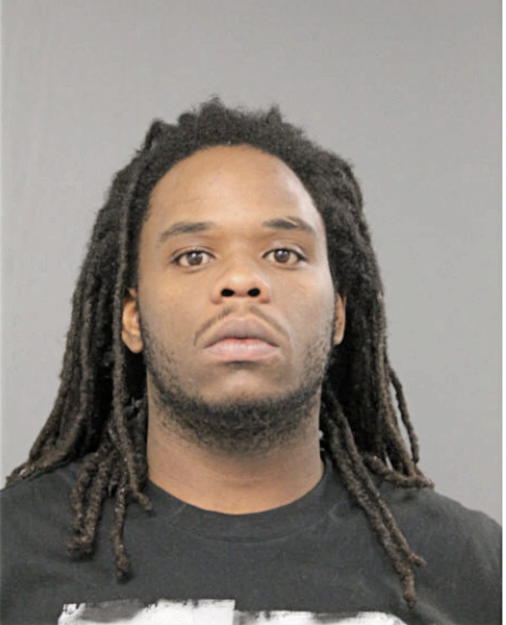 KEVIN L NELSON, Cook County, Illinois