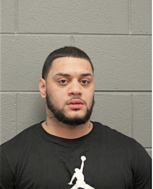 NICOLAS D ORTIZ, Cook County, Illinois