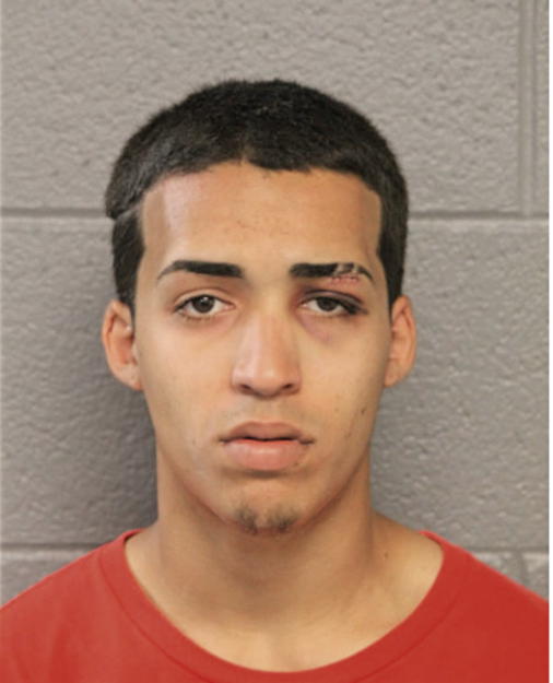 JOSHUA PEDROSA, Cook County, Illinois