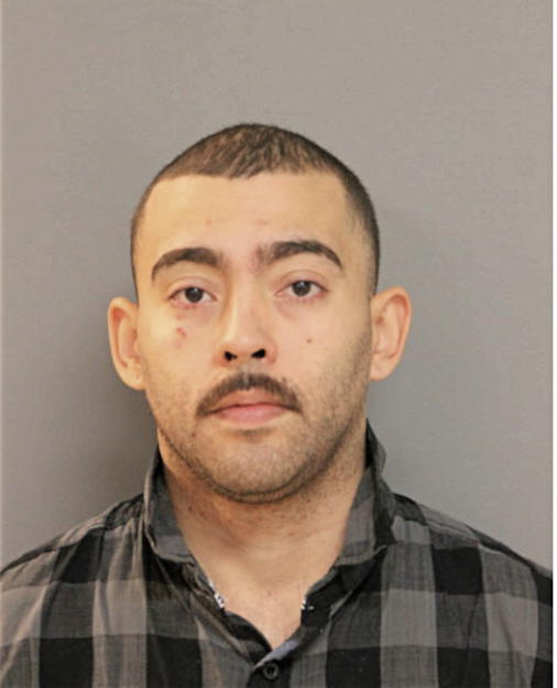 LUIS Z PINTO, Cook County, Illinois