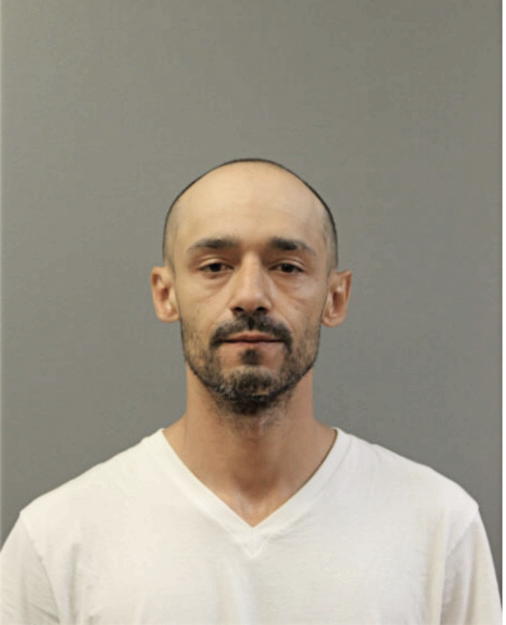 ANIBAL REYNA, Cook County, Illinois