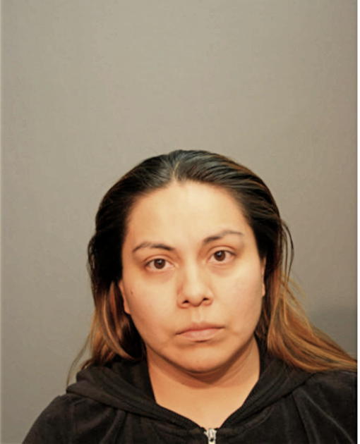 ANA M REYNOSO, Cook County, Illinois