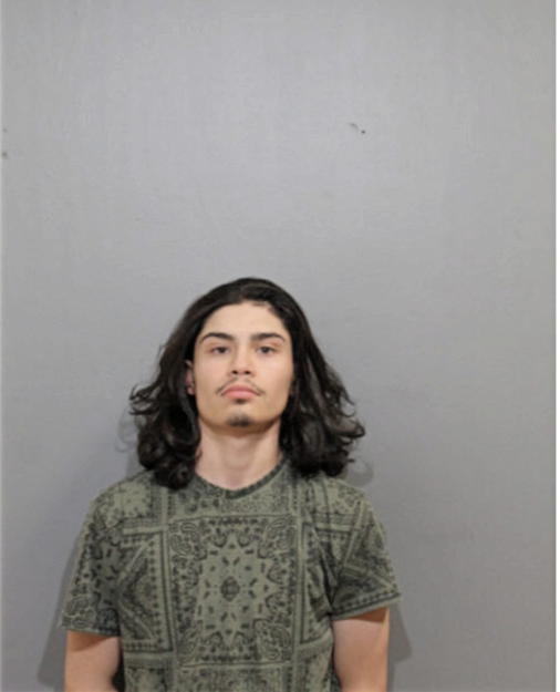 DAMIEN JOSEPH ROBLES, Cook County, Illinois