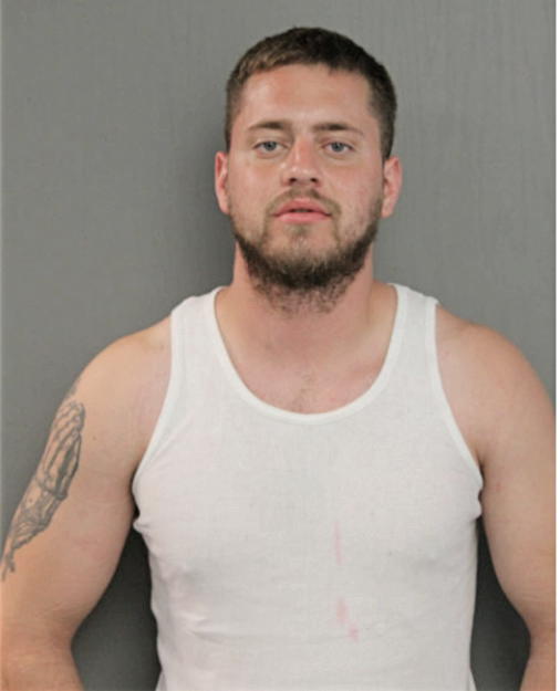 LEWIS K THEODROPOULOS, Cook County, Illinois