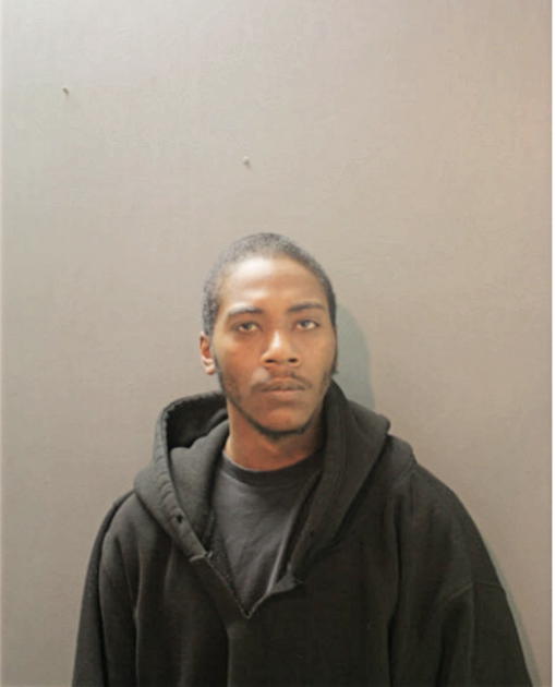 DOWAN L TRICHE, Cook County, Illinois
