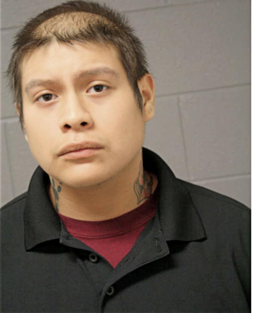 YAXKYN S VEGA, Cook County, Illinois