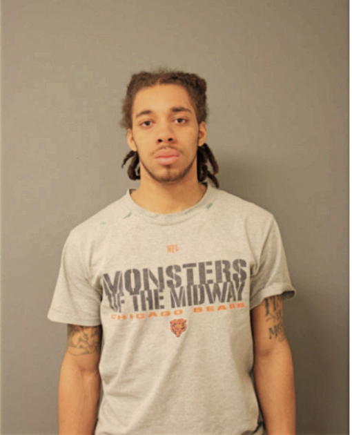 REGINALD T WASHINGTON, Cook County, Illinois
