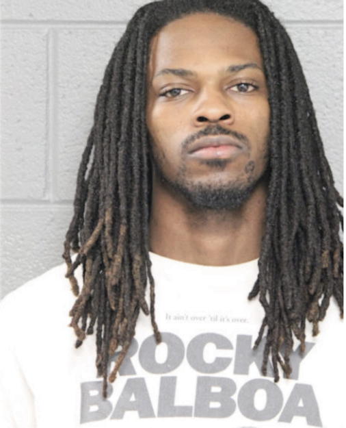 MICHAEL D WHITE, Cook County, Illinois