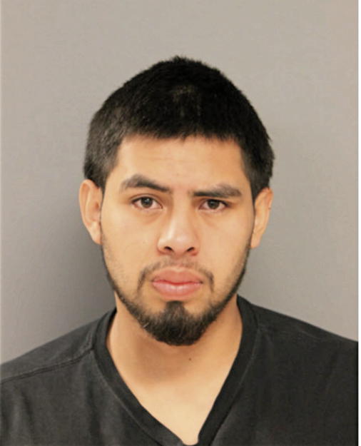 FRANCISCO J APOLINAR, Cook County, Illinois