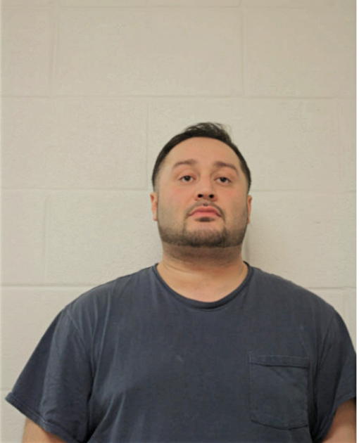 MICHAEL O ARENAS, Cook County, Illinois