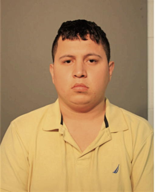 AGUSTIN ARIAS-LOPEZ, Cook County, Illinois