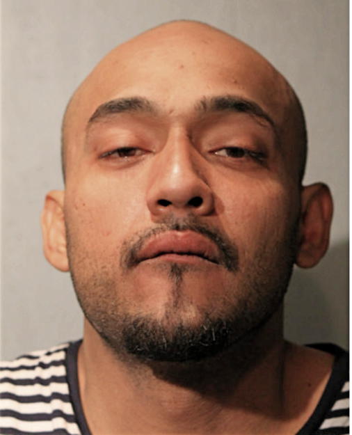 HECTOR G AVALOS, Cook County, Illinois