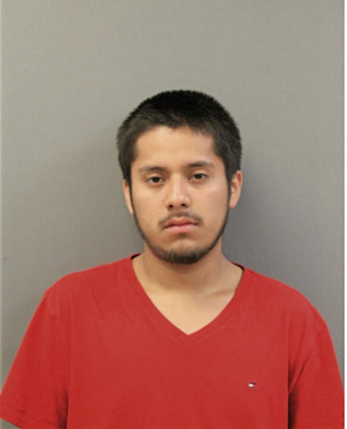 ALEXIS AVELAR, Cook County, Illinois