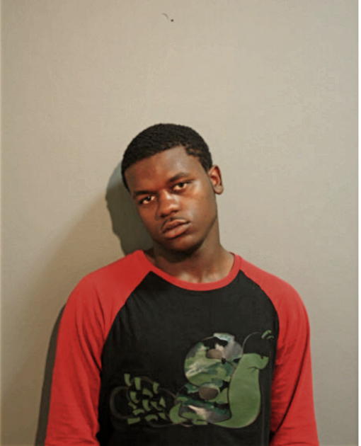 TERRELL A BARNES, Cook County, Illinois