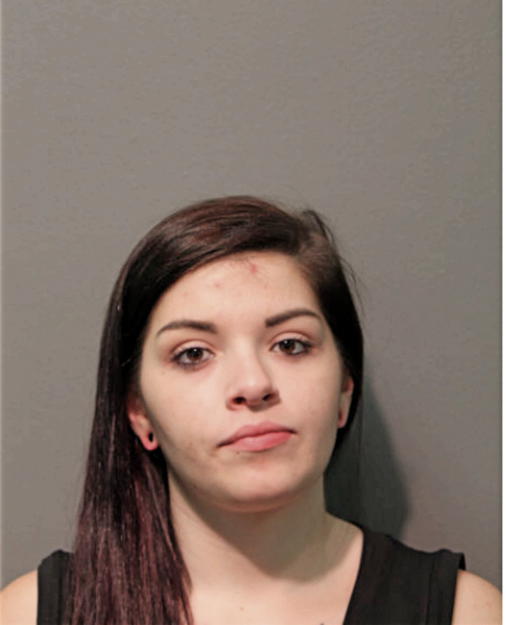 NICOLE S BROWN, Cook County, Illinois
