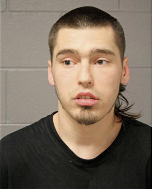 DILLON J BUDZYN, Cook County, Illinois