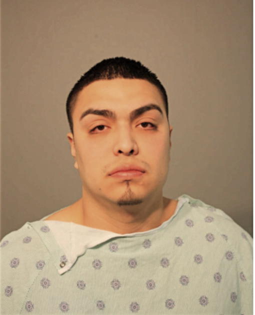 RENE BUSTAMANTE, Cook County, Illinois