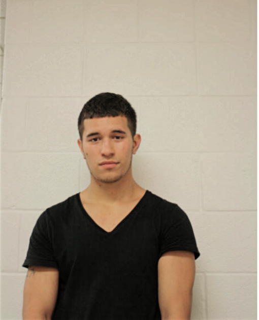 CHRISTOPHER A CANALES, Cook County, Illinois