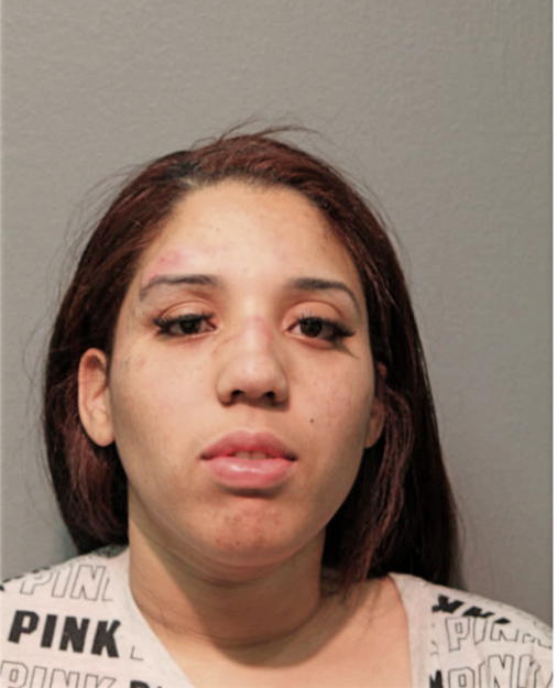 JESSICA L CARR, Cook County, Illinois