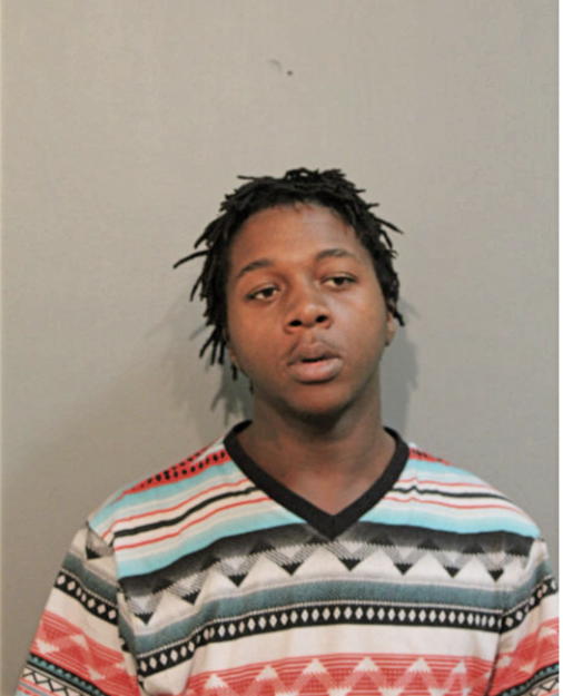 CHRISTOPHER M DAVIS, Cook County, Illinois