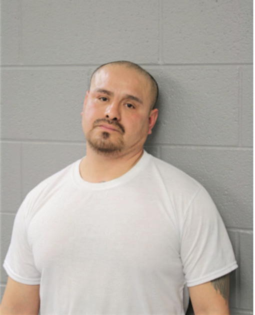 GABRIEL DELALUZ, Cook County, Illinois
