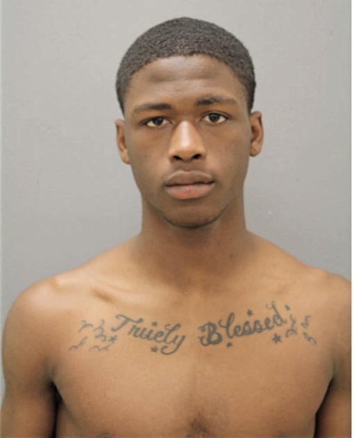 RAYMON A FULLER, Cook County, Illinois