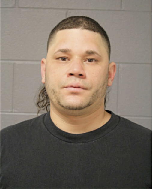 DANIEL E HERNANDEZ-LOZADA, Cook County, Illinois