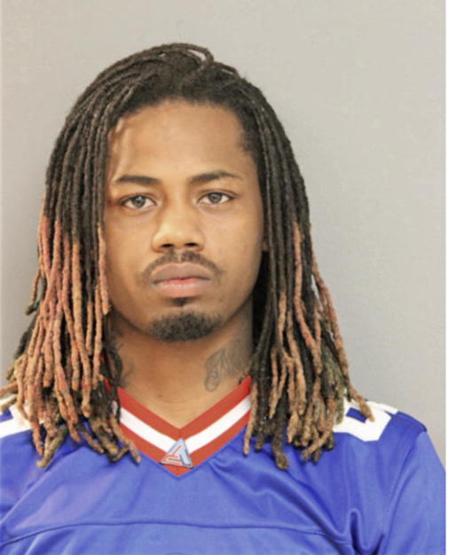 DARYL D HERRING, Cook County, Illinois