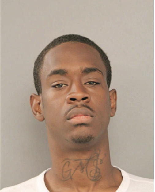 AARON L JACKSON, Cook County, Illinois
