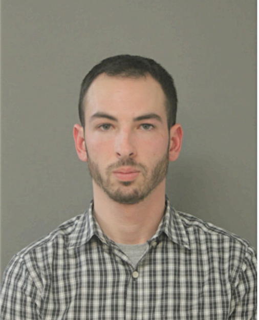 BRIAN M LEWIS, Cook County, Illinois