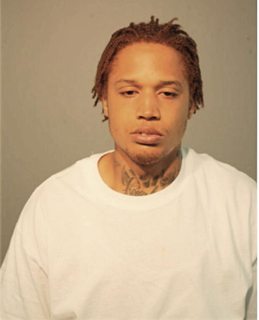 MICHAEL S NEAL, Cook County, Illinois