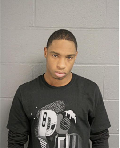 KENNETH M OWENS, Cook County, Illinois