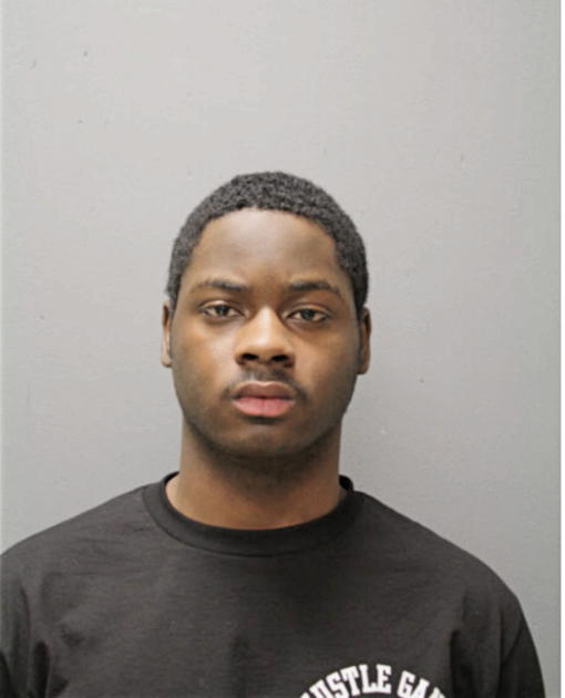 TERRELL S POWELL, Cook County, Illinois