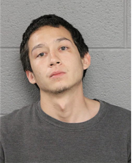 JESUS T SANCHEZ, Cook County, Illinois