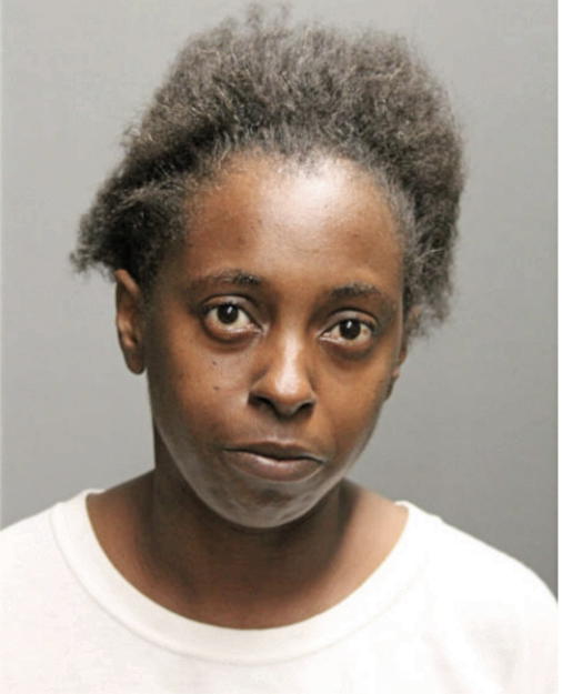 TERESA R STOKES, Cook County, Illinois