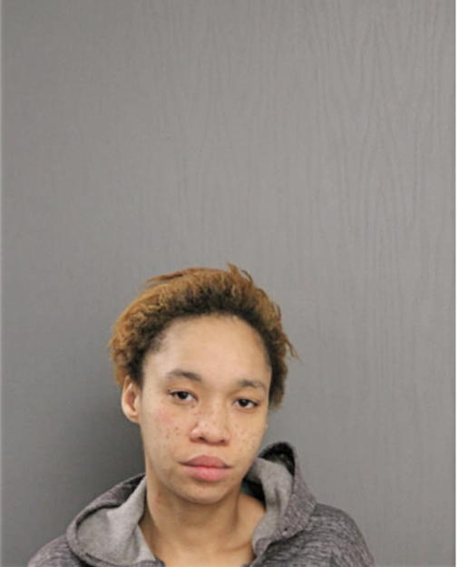 YVETTE S TERRELL, Cook County, Illinois